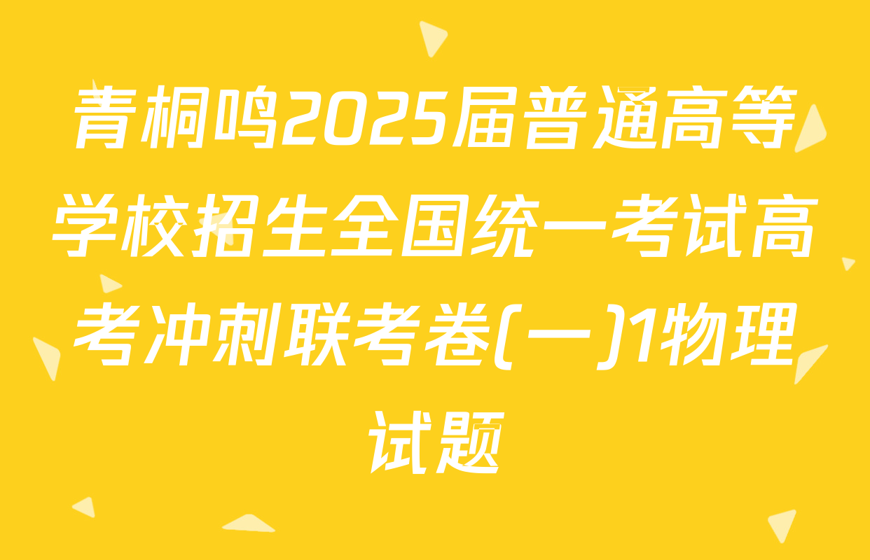 青桐鸣2025届普通高等学校招生全国统一考试高考冲刺联考卷(一)1物理试题