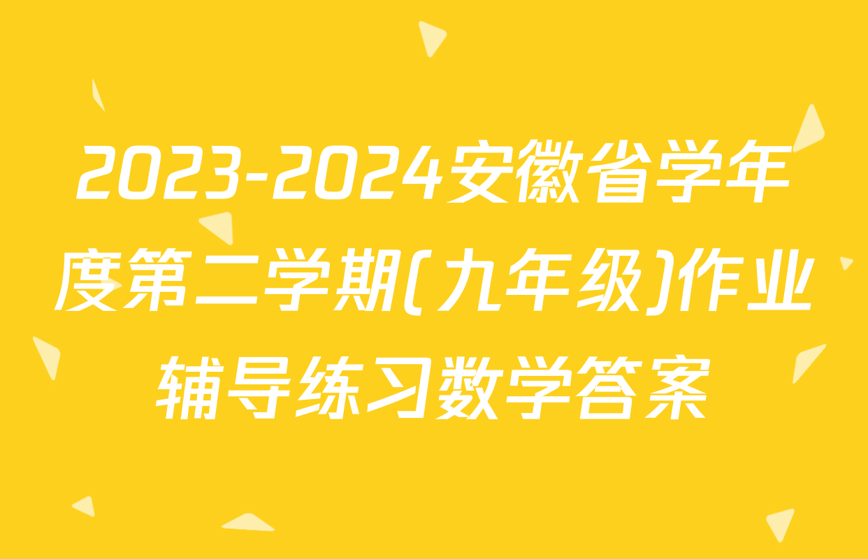 2023-2024安徽省学年度第二学期(九年级)作业辅导练习数学答案