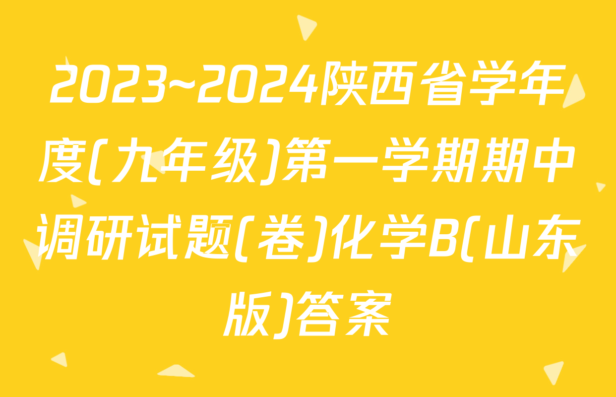 2023~2024陕西省学年度(九年级)第一学期期中调研试题(卷)化学B(山东版)答案