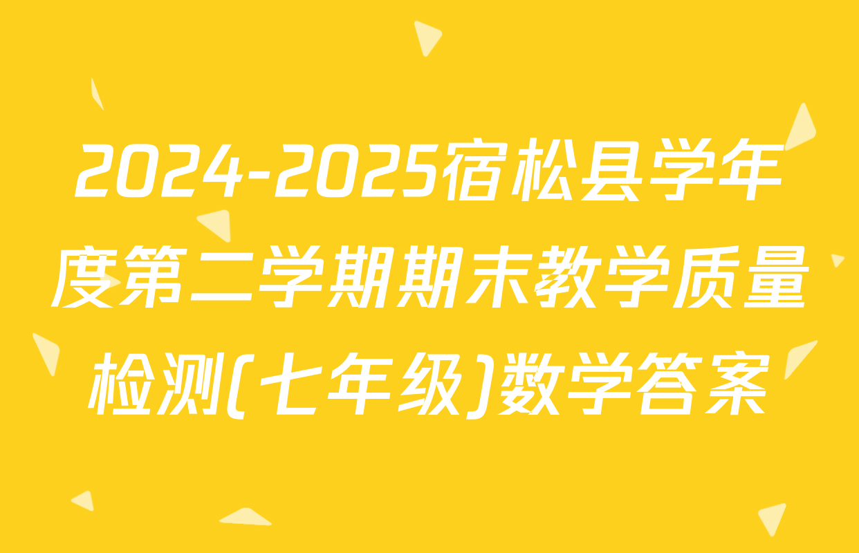 2024-2025宿松县学年度第二学期期末教学质量检测(七年级)数学答案