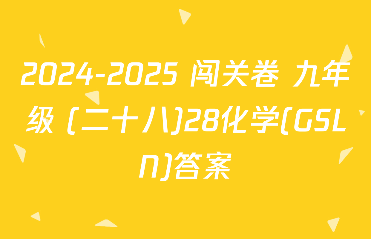 2024-2025 闯关卷 九年级 (二十八)28化学(GSLN)答案