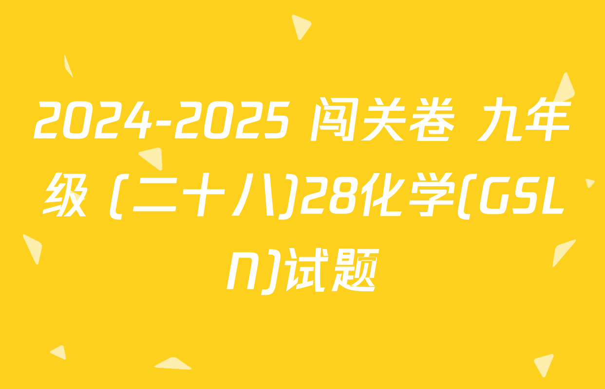 2024-2025 闯关卷 九年级 (二十八)28化学(GSLN)试题