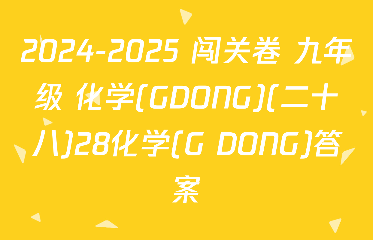 2024-2025 闯关卷 九年级 化学(GDONG)(二十八)28化学(G DONG)答案