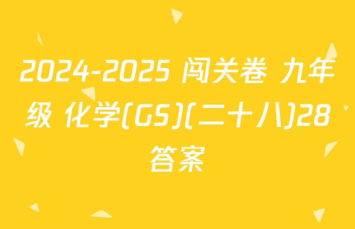 2024-2025 闯关卷 九年级 化学(GS)(二十八)28答案