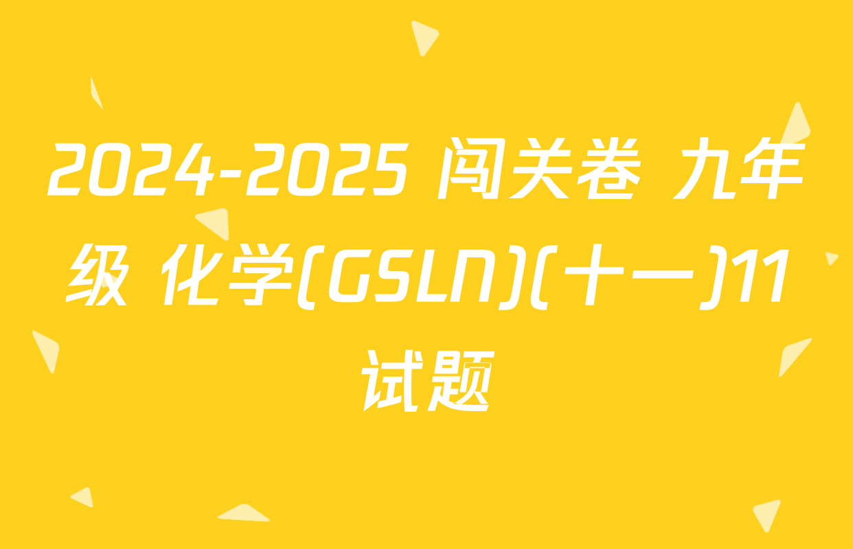 2024-2025 闯关卷 九年级 化学(GSLN)(十一)11试题