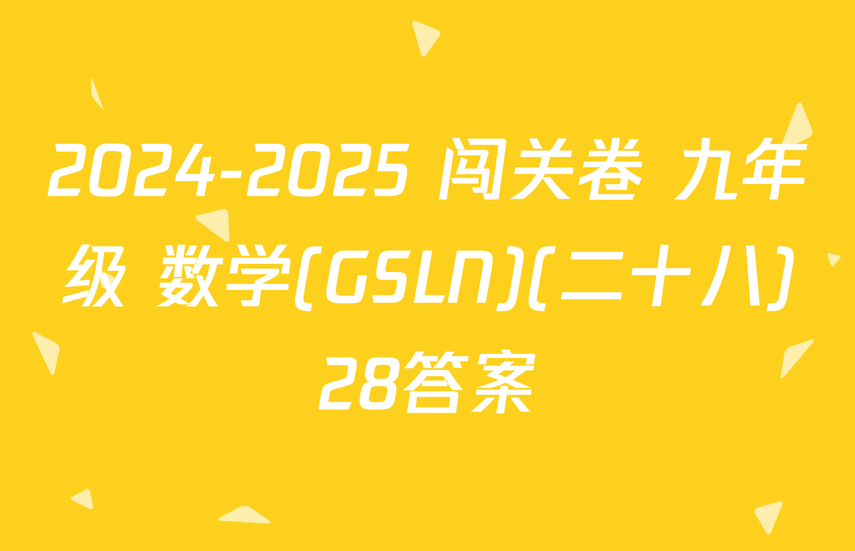 2024-2025 闯关卷 九年级 数学(GSLN)(二十八)28答案