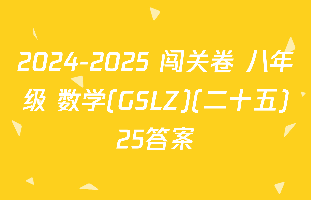 2024-2025 闯关卷 八年级 数学(GSLZ)(二十五)25答案