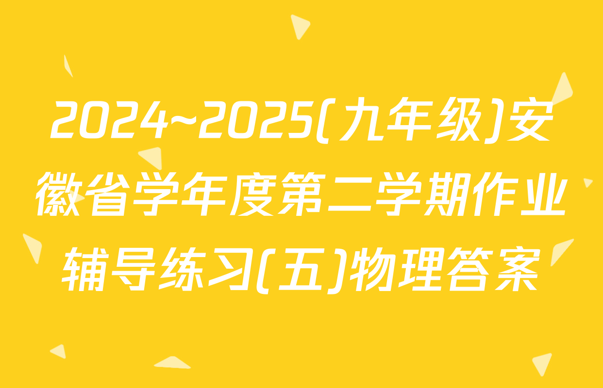 2024~2025(九年级)安徽省学年度第二学期作业辅导练习(五)物理答案