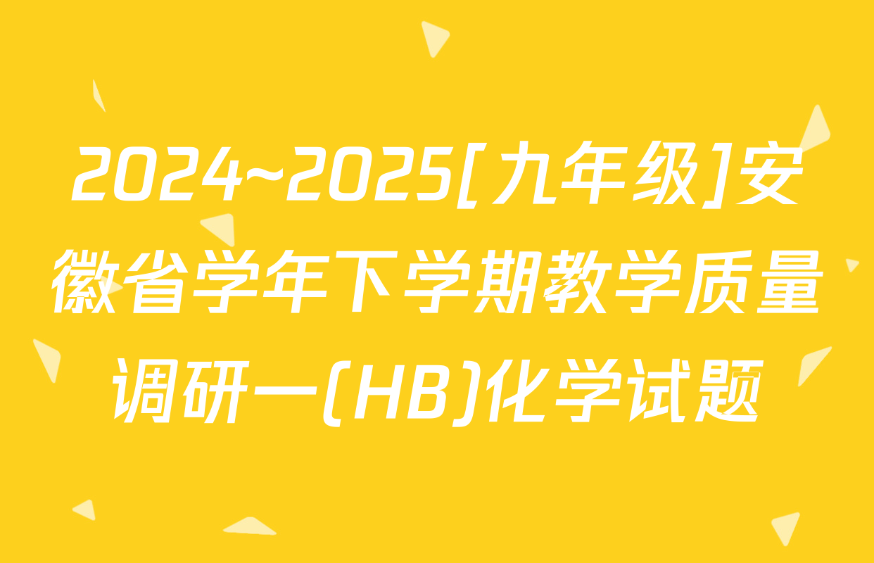 2024~2025[九年级]安徽省学年下学期教学质量调研一(HB)化学试题