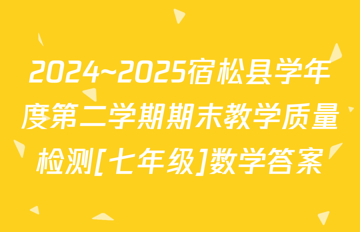 2024~2025宿松县学年度第二学期期末教学质量检测[七年级]数学答案
