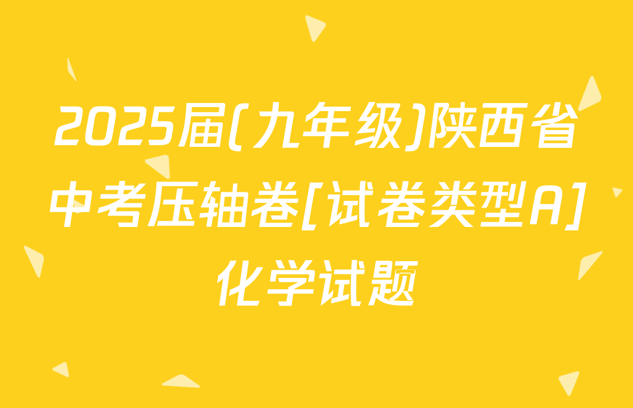 2025届(九年级)陕西省中考压轴卷[试卷类型A]化学试题