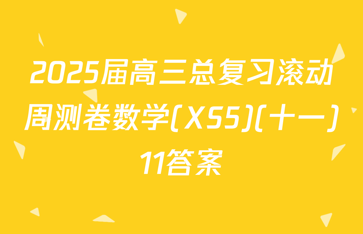 2025届高三总复习滚动周测卷数学(XS5)(十一)11答案