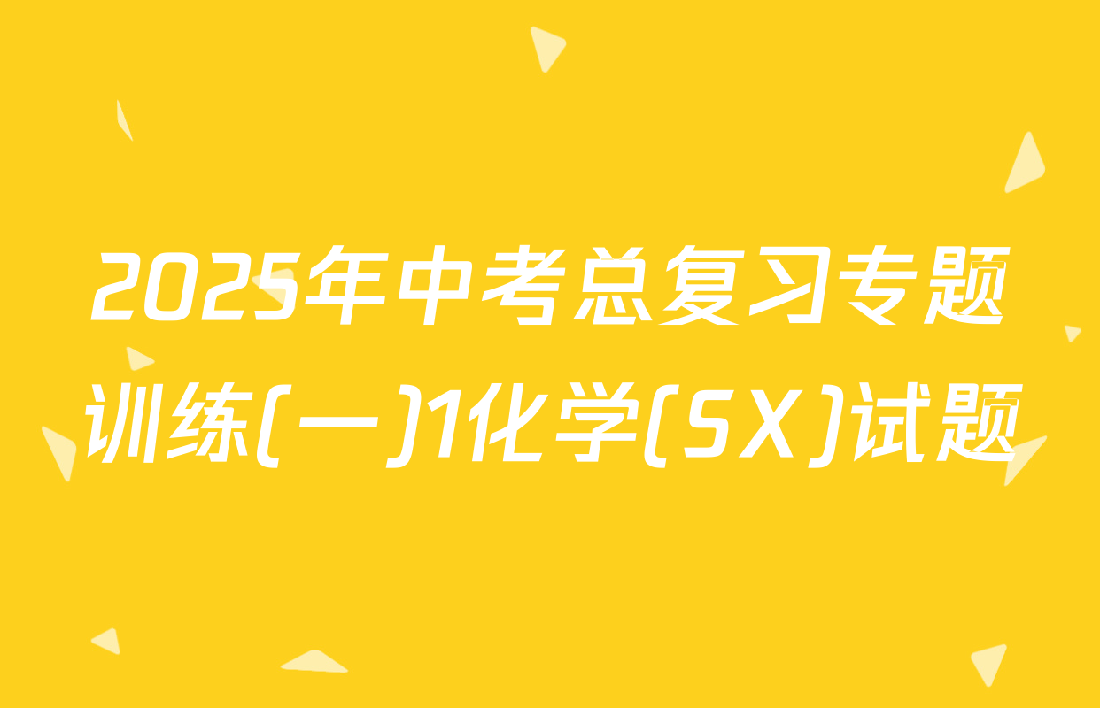 2025年中考总复习专题训练(一)1化学(SX)试题