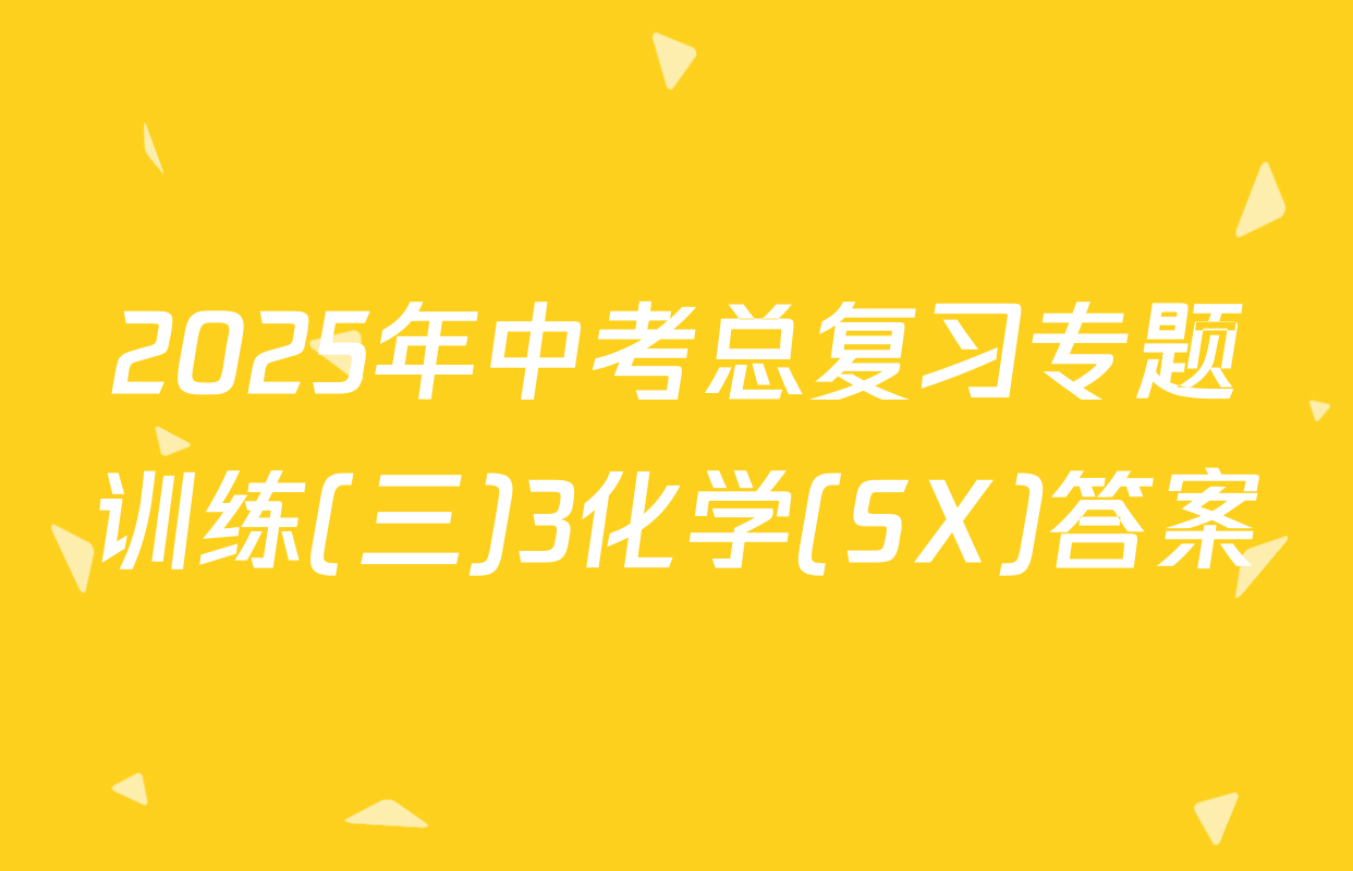 2025年中考总复习专题训练(三)3化学(SX)答案