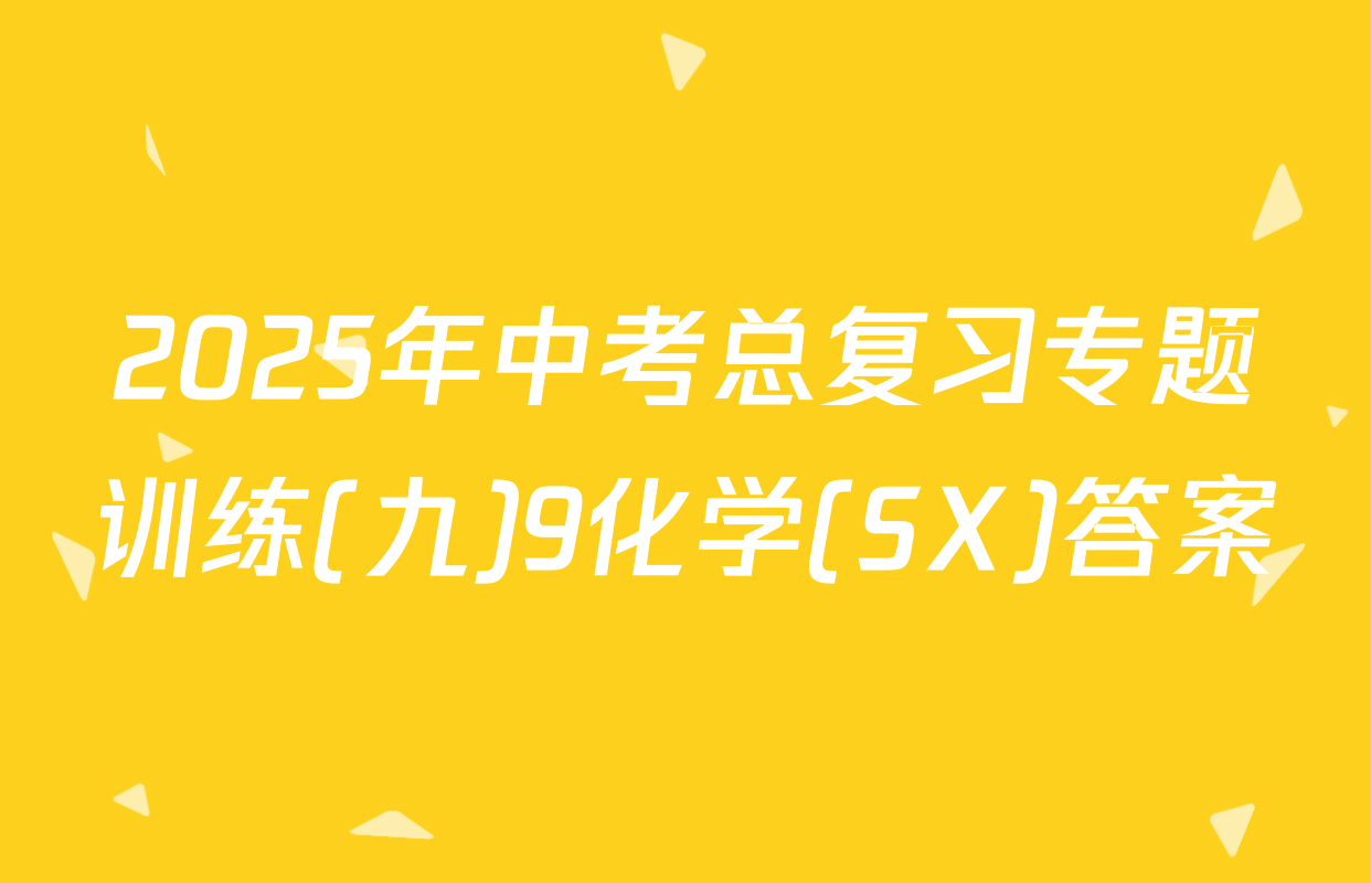 2025年中考总复习专题训练(九)9化学(SX)答案