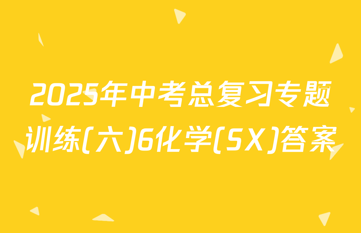 2025年中考总复习专题训练(六)6化学(SX)答案