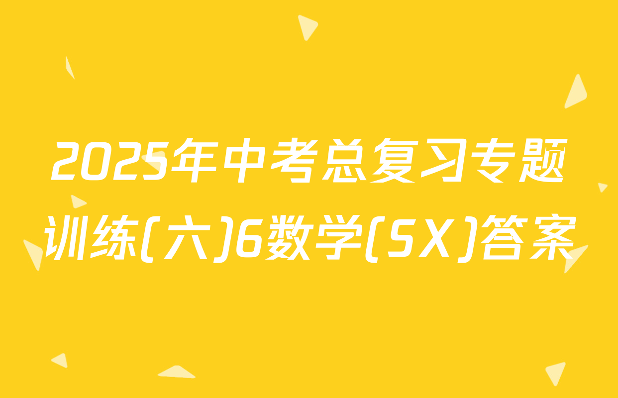 2025年中考总复习专题训练(六)6数学(SX)答案