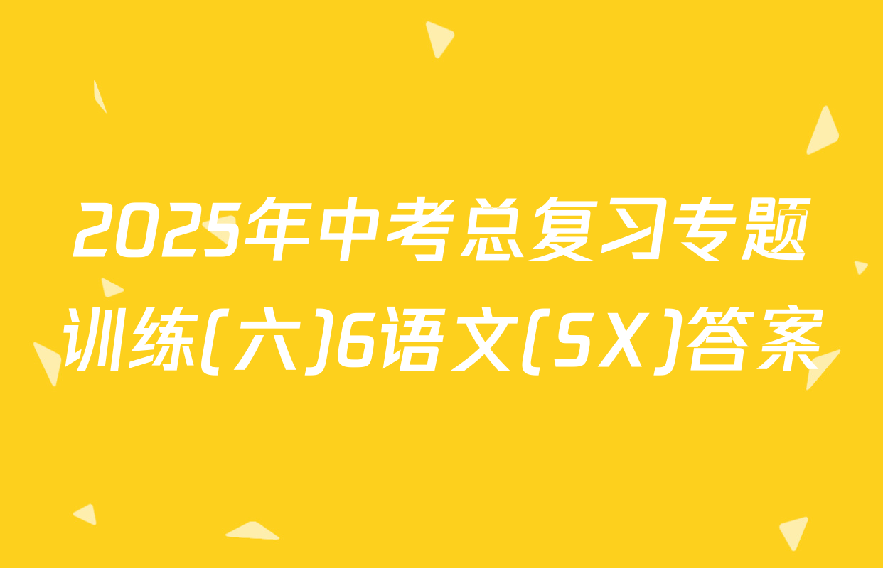 2025年中考总复习专题训练(六)6语文(SX)答案