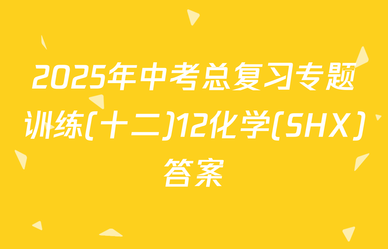 2025年中考总复习专题训练(十二)12化学(SHX)答案