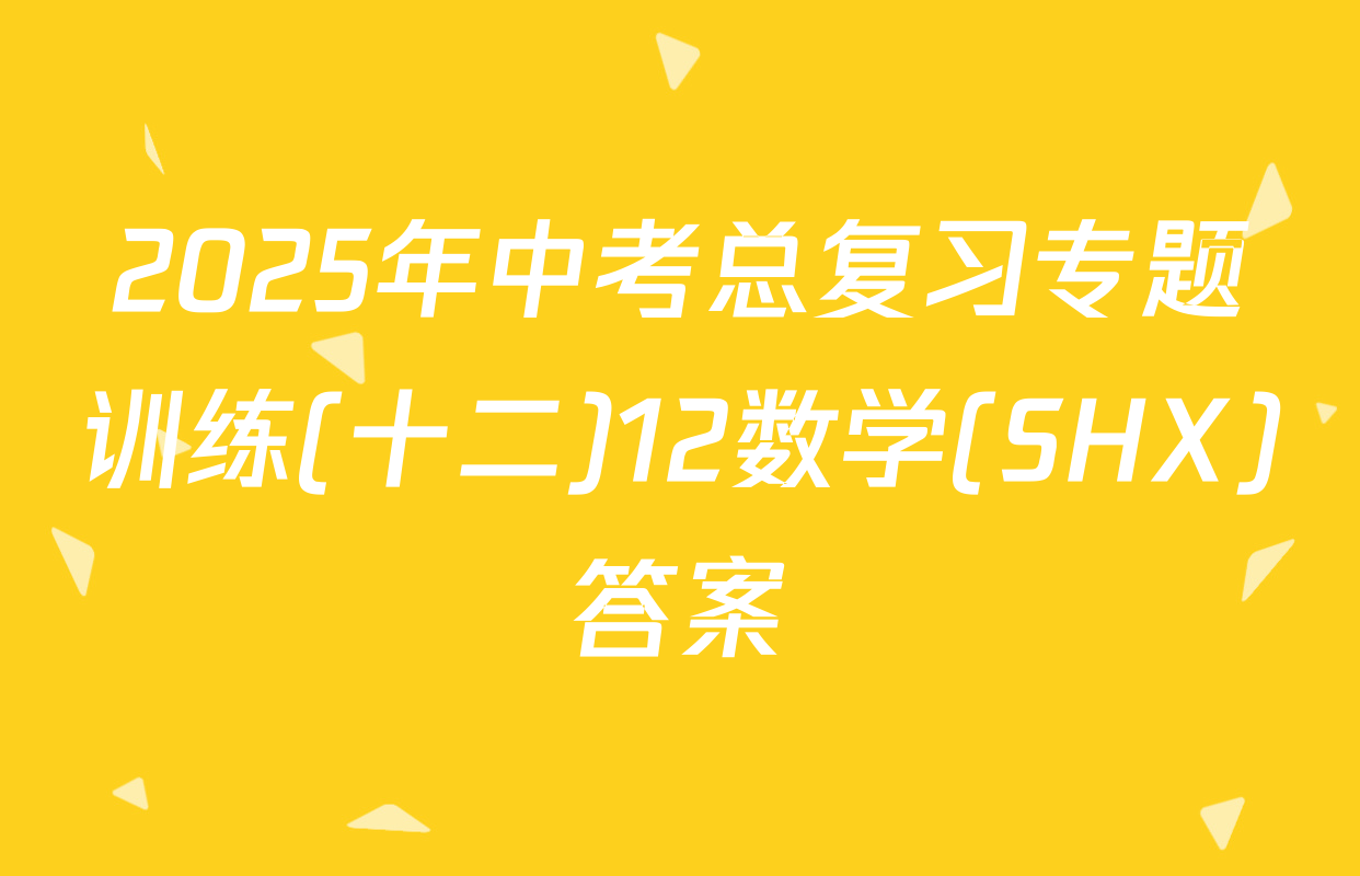 2025年中考总复习专题训练(十二)12数学(SHX)答案