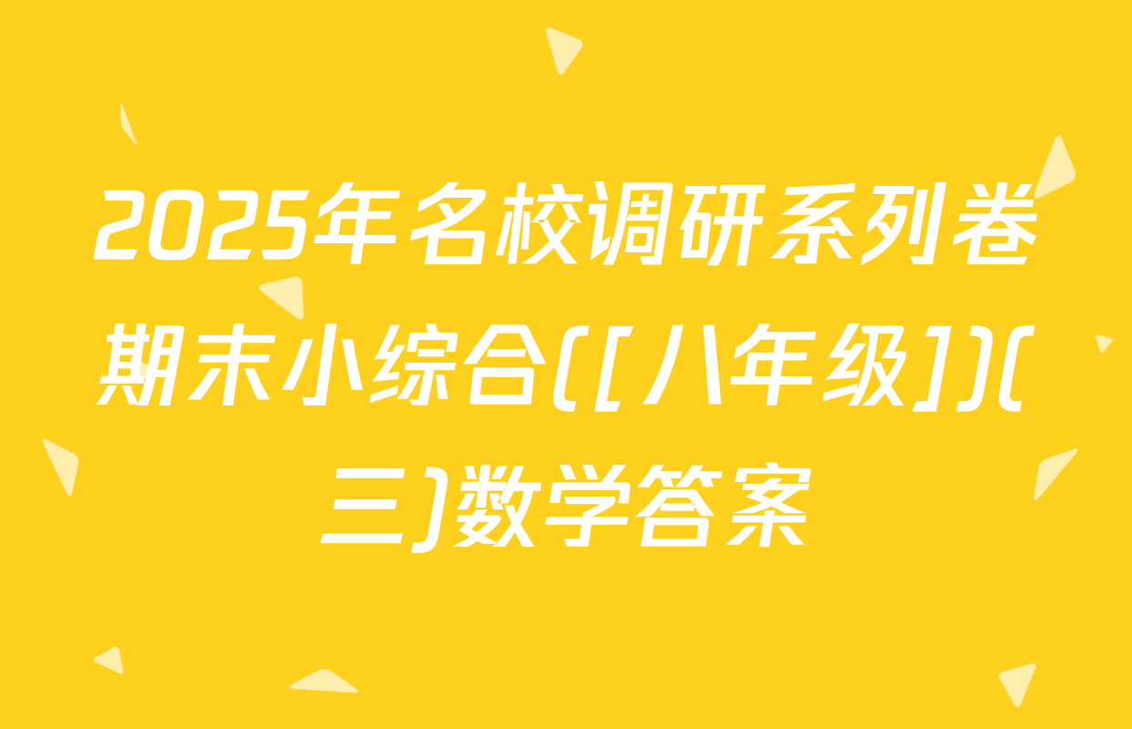 2025年名校调研系列卷期末小综合([八年级])(三)数学答案
