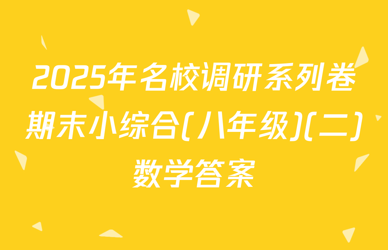 2025年名校调研系列卷期末小综合(八年级)(二)数学答案