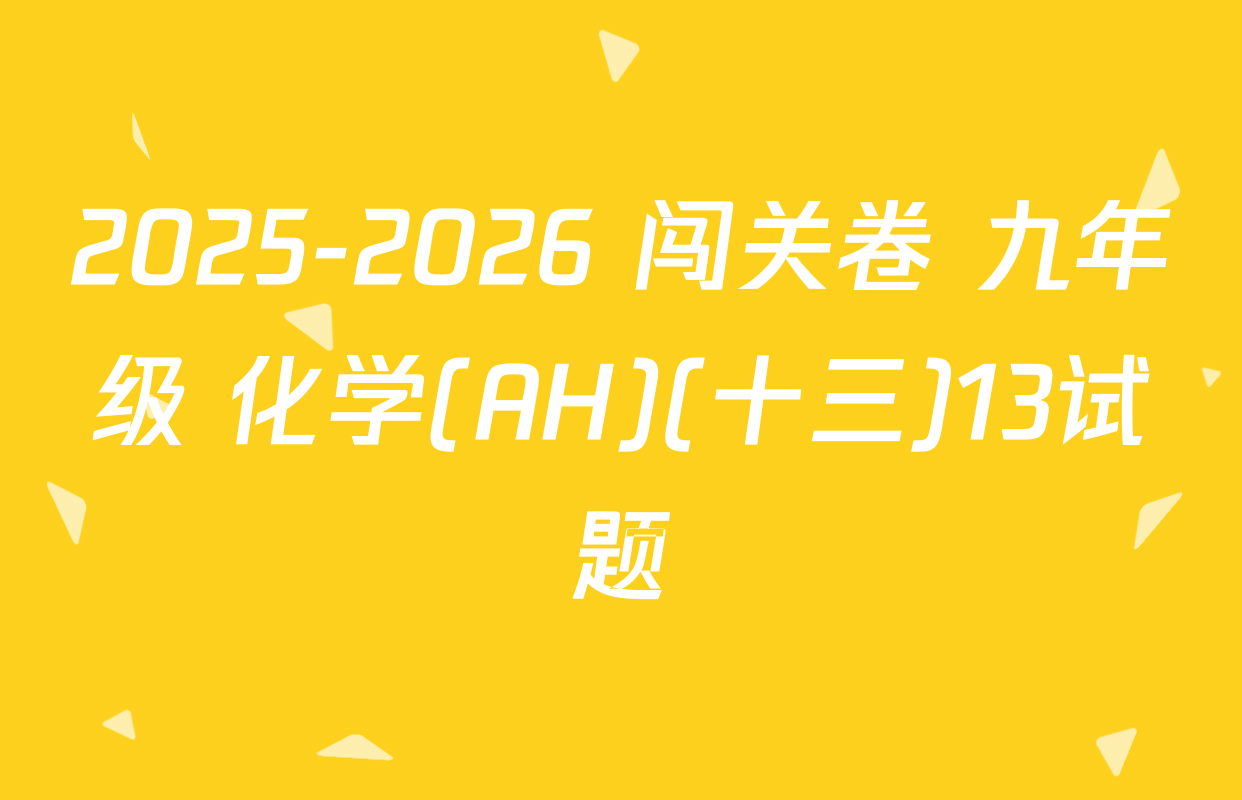 2025-2026 闯关卷 九年级 化学(AH)(十三)13试题